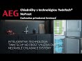 AEG RCB732E5MX