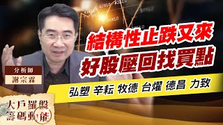 結構性止跌又來 好股壓回找買點 (圖)