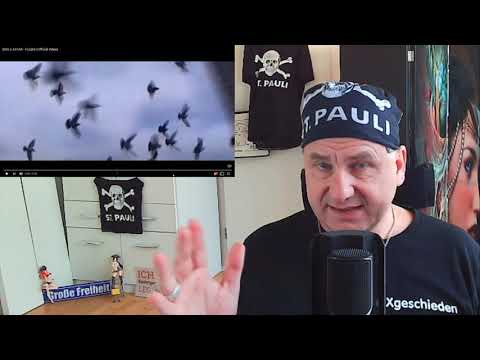 zweiXgeschieden reagiert: SSIO x XATAR - FLEBIX (Official Video) REACTION