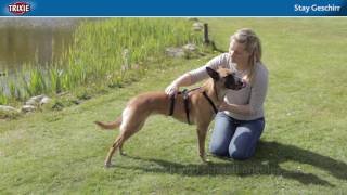 Bezpečnostní kšíry STAY