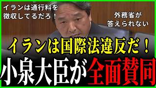 【外務省絶句】「違反ではないですかと聞いてるんです」榛葉議員が国連海洋法条約をド正論で突きつけ岩本局長を完封！小泉大臣も全面賛同