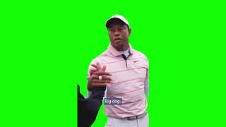 Tiger Woods "big dog" green screen