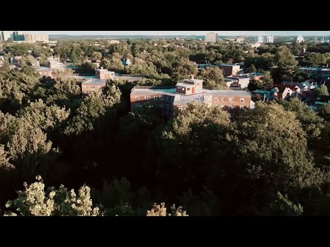 Everyone Dissed in Sha Gz X Blitz Gz - "ECG4L"