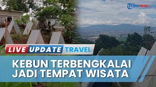 Tempat Camping Termurah Bandung, Gemilang Camp Garden dengan Pemandangan City Light hingga Sunrise
