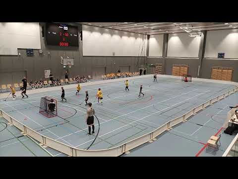 P11SKL2 Iiski - Welhot fFlames