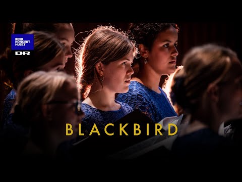 Blackbird - Lennon/McCartney // DR Pigekoret (LIVE)