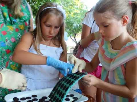 Čokoladna škola glagoljice, Jurandvor