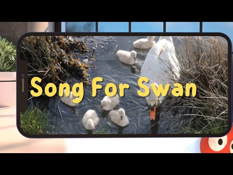 🌟 "Song for Swan"  A Magical Kids' Song About Swans 🦢 | Fun & Educational Music Video for Children 🌟