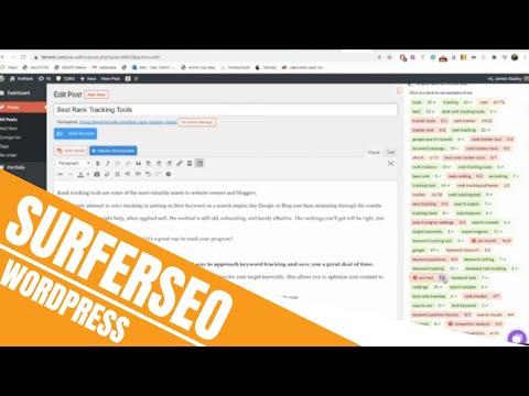 How to use Surfer SEO Within WordPress | WordPress Content Plug-in