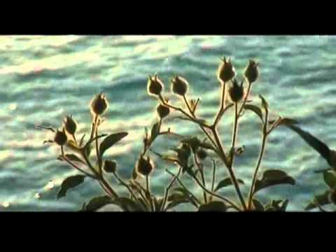 Leonard Cohen - I Can't Forget