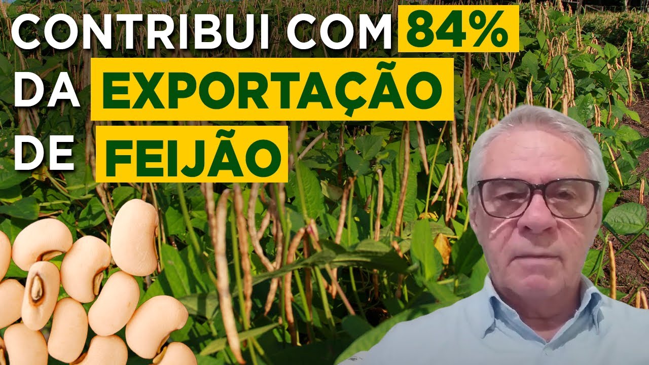 Dicas para produção de Feijão Caupi - Prof  Francisco Freire