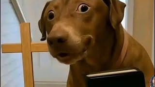 Wuliriza Bulunji😳