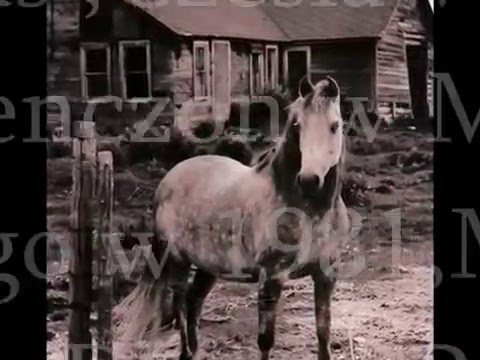 Bonifacy Małolepszy 1948-2014 in Memoriam