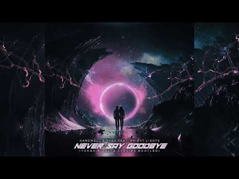 Hardwell & Dyro Ft. Bright Lights - Never Say Goodbye (Tokah & Delta Species Bootleg)