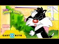 Baby Looney Tunes Don T Give Up Cartoonito UK