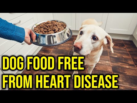 10 Dog foods Free From Canine Heart Disease/Amazing Dogs