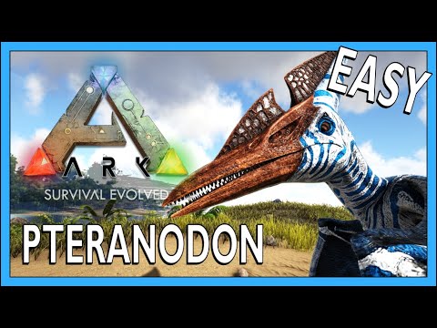 How To Tame A Pteranodon In Ark Survival Evolved