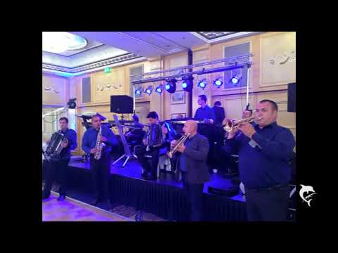 NEMA DALJE - VLAŠKA KOLA I PESME EXTRA UŽIVO