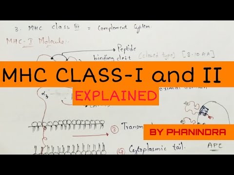 Hypersensitivity Type 1 and Type 2
