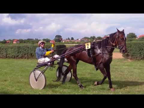 POŽAREVAC - KASAČKA TRKA ,,MLAVA"" (7.jul 2018).