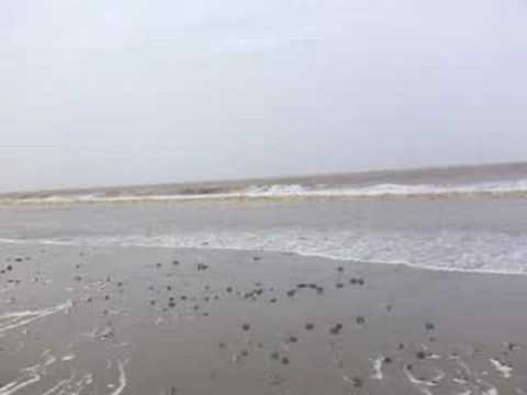 Jaydeep's evening at mahuva beach