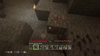 マイクラ