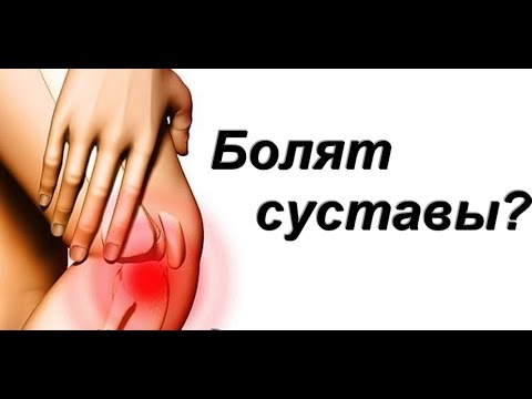 Цена мрт коленного сустава киев цена Фитамины для суставов для собак