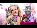Diana y Roma: una colección de dibujos animados para niños Diana y Roma: una colección de dibujos animados para niños