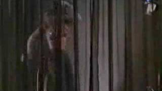 Carmen Electra Sexy Dancing