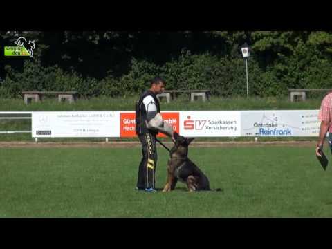 Nick Vikar C: 95 - SV LGA 2013