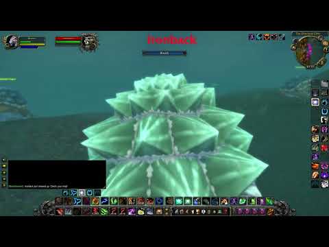 Who is Ironback - WoW Classic WOTLK rare spawns
