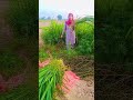 Dil Ki Attachment Song Mdactivityanddance Like Subscribe Share Comments ️