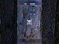 Coldest Camouflage Sigma Sigmamale Sigmarules Trollfaceedit Aura Disaster Ytshorts
