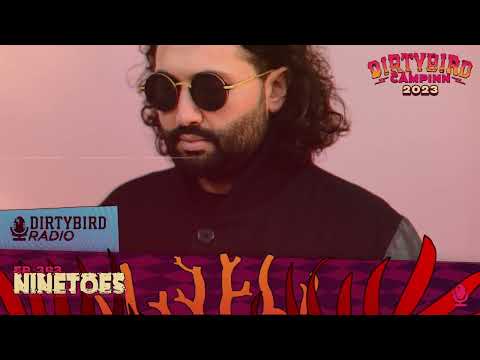 Dirtybird Radio 393 - Ninetoes