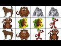 Baby Tv Animals Monkeys Tjoektjoek