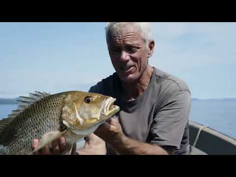 Monstros do Rio - Terror da Ilha Vulcânica