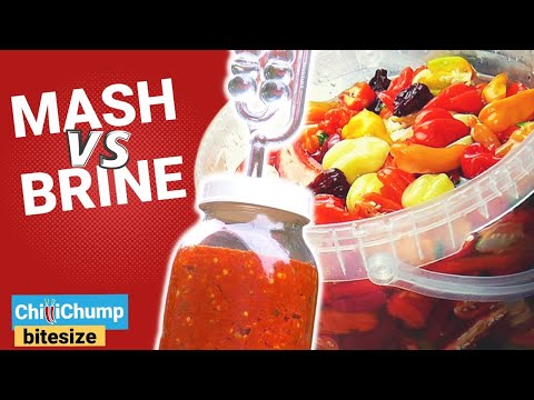 Mash vs. Brine Chilli Pepper Fermentation