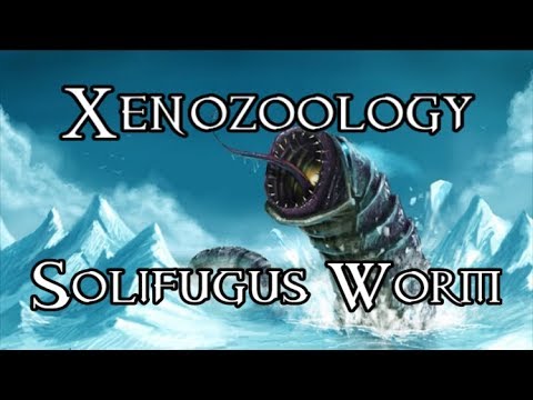 Xenozoology: Solifugus Worm - 40K Theories