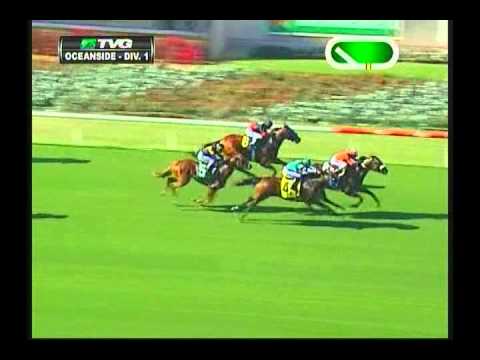 2013 Oceanside Stakes : Division 1 & 2