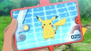 Pokemon Journeys Pikachu Pokedex Data