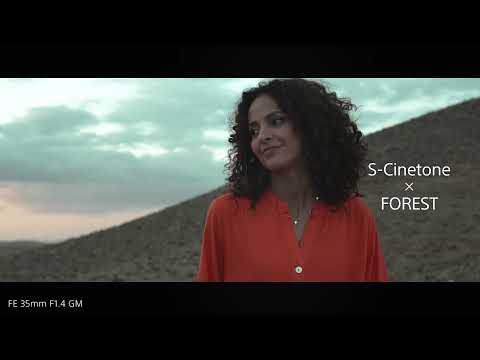 ZV-E10 II | Creative Look, Cinematic Vlog Settings, Vertical UI