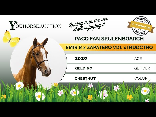 Paco Fan Skülenboarch