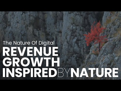 How Can Fibonacci Numbers Inspire Digital Business And Revenue Growth?