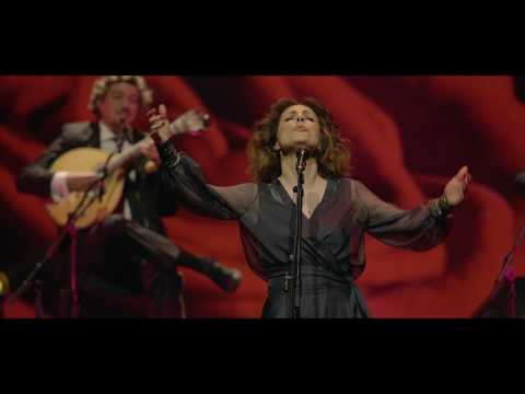 Katia Guerreiro - Rosa Vermelha