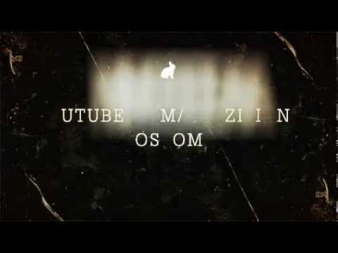 Bem vindos ao Brazilian Blossom! (intro)