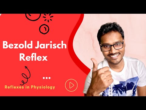 Bezold Jarisch Reflex - Coronary Chemoreflex