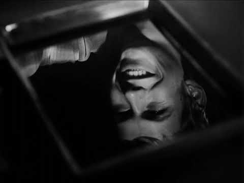 Slnko v sieti (1963)