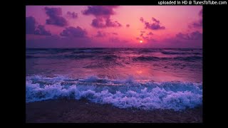 Shontelle - Say Hello To Goodbye