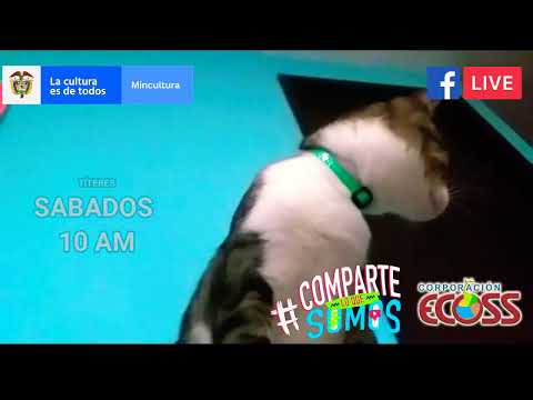 #elsagatuber te invita a una obra de titeres #corporacionecoss