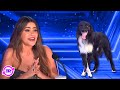 AGT 2024 Runner Up Roni Sagi Rhythm ALL Performances
